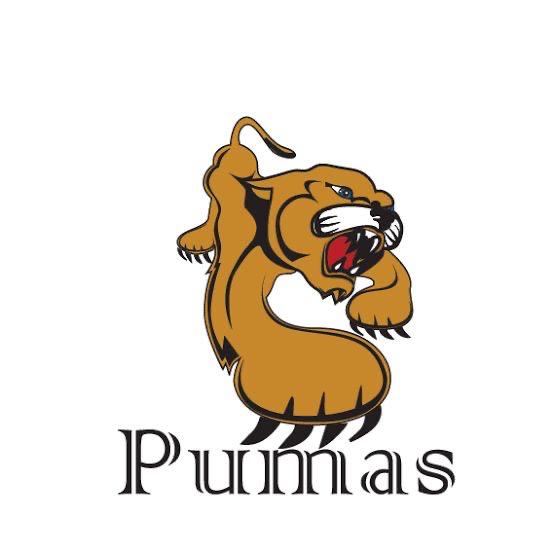 Cobach Pumas